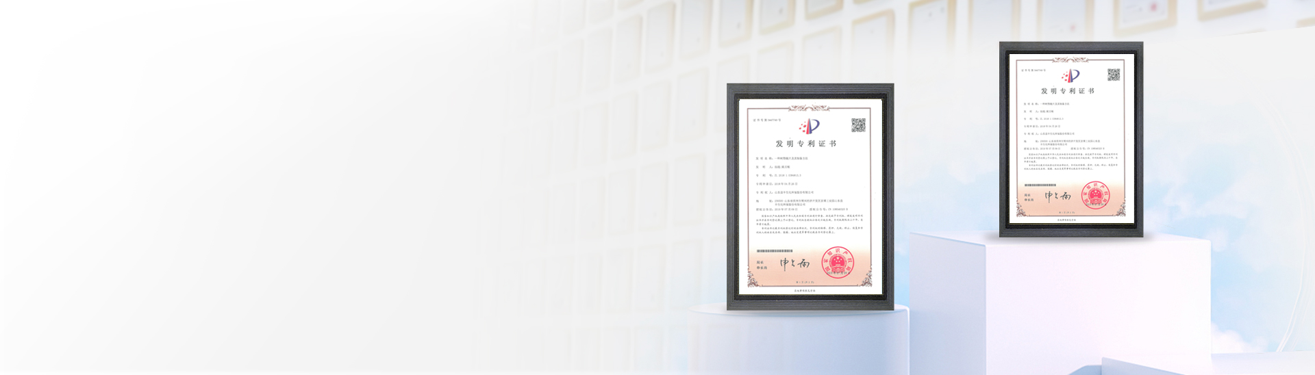 Z6集团新材料股份有限公司