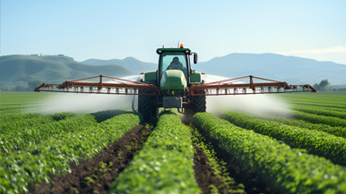 Z6集团新材料股份有限公司