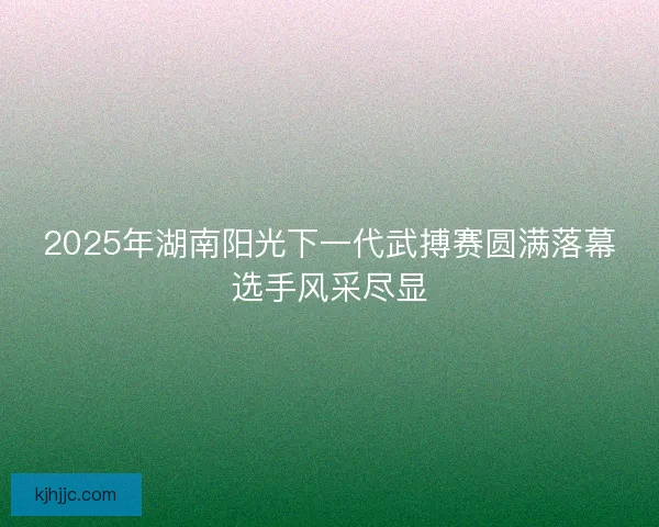 2025年湖南阳光下一代武搏赛圆满落幕选手风采尽显